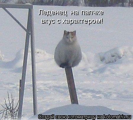 Леденец на палчке вкус с характером!... Котоматрица: Леденец на палчке вкус с характером!