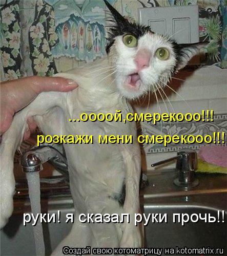 ...оооой,смерекооо!!! розкажи мени смерекооо!!! руки! я сказал руки прочь!!!... Котоматрица: ...оооой,смерекооо!!! розкажи мени смерекооо!!! руки! я сказал руки прочь!!!