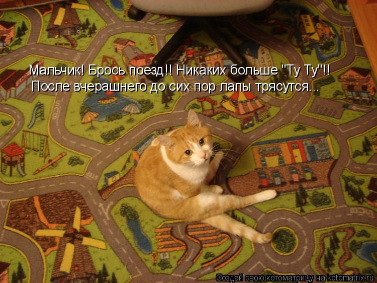 Мальчик! Брось поезд!! Никаких больше "Ту Ту"!! После вчерашнего до сих пор лапы трясутся...... Котоматрица: Мальчик! Брось поезд!! Никаких больше "Ту Ту"!! После вчерашнего до сих пор лапы трясутся...