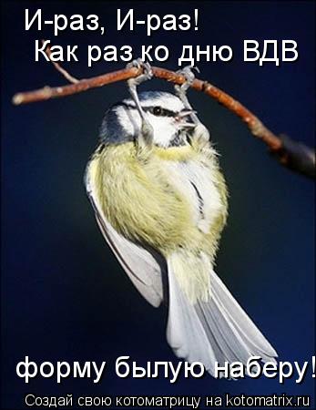 И-раз, И-раз! Как раз ко дню ВДВ форму былую наберу!... Котоматрица: И-раз, И-раз! Как раз ко дню ВДВ форму былую наберу!