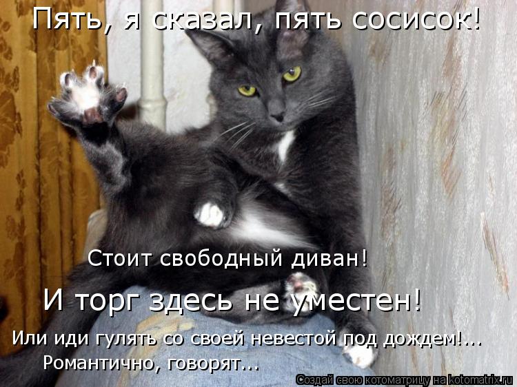 И торг здесь не уместен! Пять, я сказал, пять сосисок! Стоит свободный диван! Или иди гулять со своей... Котоматрица: И торг здесь не уместен! Пять, я сказал, пять сосисок! Стоит свободный диван! Или иди гулять со своей невестой под дождем!... Романтично, говор