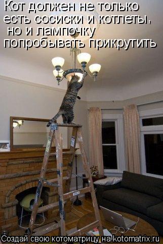 Кот должен не только есть сосиски и котлеты но и лампочку попробывать прикрутить ,... Котоматрица: Кот должен не только есть сосиски и котлеты но и лампочку попробывать прикрутить ,