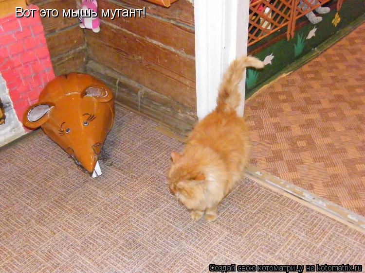 Вот это мышь мутант!... Котоматрица: Вот это мышь мутант!
