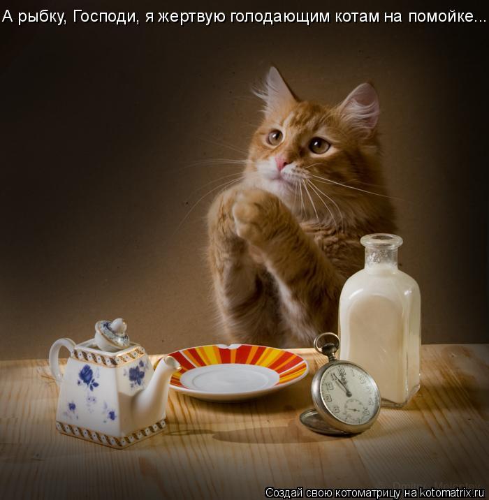 А рыбку, Господи, я жертвую голодающим котам на помойке...... Котоматрица: А рыбку, Господи, я жертвую голодающим котам на помойке...