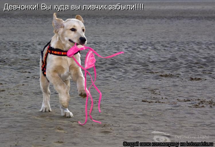 Девчонки! Вы куда вы ливчик забыли!!!!... Котоматрица: Девчонки! Вы куда вы ливчик забыли!!!!