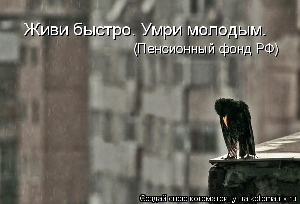 Живи быстро. Умри молодым. (Пенсионный фонд РФ)... Котоматрица: Живи быстро. Умри молодым. (Пенсионный фонд РФ)