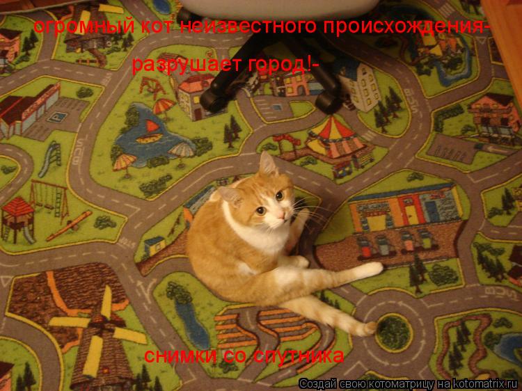 огромный кот неизвестного происхождения- разрушает город!- снимки со спутника... Котоматрица: огромный кот неизвестного происхождения- разрушает город!- снимки со спутника
