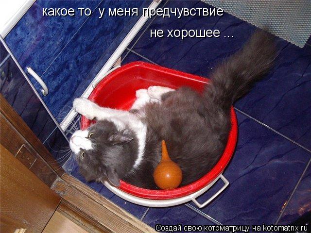 какое то у меня предчувствие не хорошее ...... Котоматрица: какое то у меня предчувствие не хорошее ...