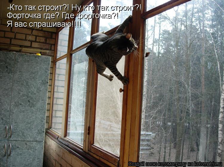 -Кто так строит?! Ну кто так строит?! Форточка где? Где форточка?! Я вас спрашиваю!!!!... Котоматрица: -Кто так строит?! Ну кто так строит?! Форточка где? Где форточка?! Я вас спрашиваю!!!!