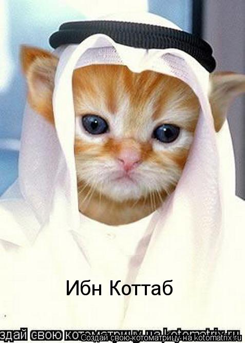 Ибн Коттаб... Котоматрица: Ибн Коттаб