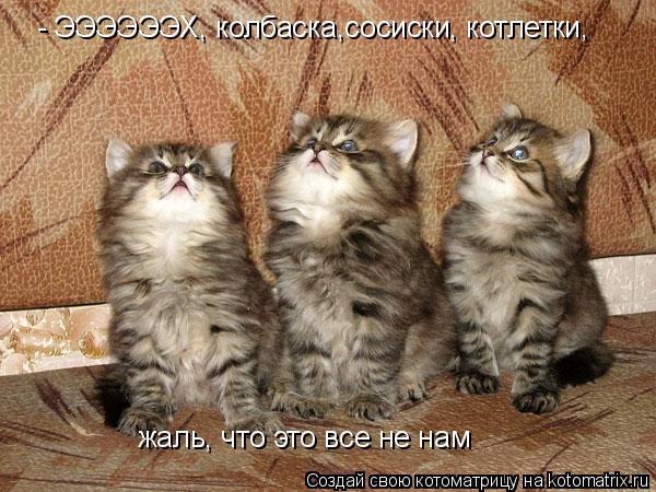 - ЭЭЭЭЭЭХ, колбаска,сосиски, котлетки, жаль, что это все не нам... Котоматрица: - ЭЭЭЭЭЭХ, колбаска,сосиски, котлетки, жаль, что это все не нам