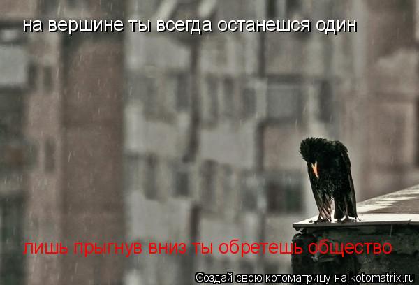 на вершине ты всегда останешся один лишь прыгнув вниз ты обретешь общество... Котоматрица: на вершине ты всегда останешся один лишь прыгнув вниз ты обретешь общество