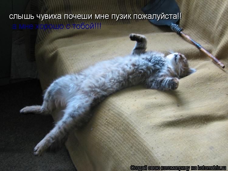 слышь чувиха почеши мне пузик пожалуйста!! слышь чувиха почеши мне пузик пожалуйста!! а мне хорошо с ... Котоматрица: слышь чувиха почеши мне пузик пожалуйста!! слышь чувиха почеши мне пузик пожалуйста!! а мне хорошо с тобой!!!