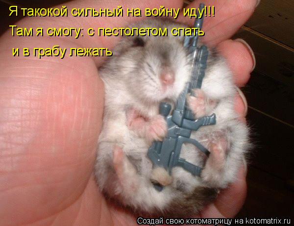 Я такокой сильный на войну иду!!! Там я смогу: с пестолетом спать и в грабу лежать... Котоматрица: Я такокой сильный на войну иду!!! Там я смогу: с пестолетом спать и в грабу лежать