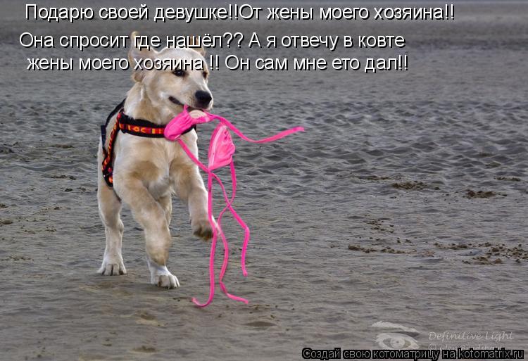 Подарю своей девушке!!От жены моего хозяина!! Подарю своей девушке!!От жены моего хозяина!! Она спрос... Котоматрица: Подарю своей девушке!!От жены моего хозяина!! Подарю своей девушке!!От жены моего хозяина!! Она спросит где нашёл?? А я отвечу в ковте жены мое