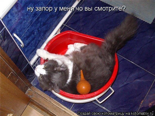 ну запор у меня чо вы смотрите?... Котоматрица: ну запор у меня чо вы смотрите?