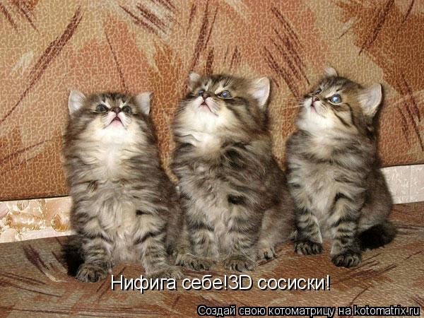 Нифига себе!3D сосиски!... Котоматрица: Нифига себе!3D сосиски!