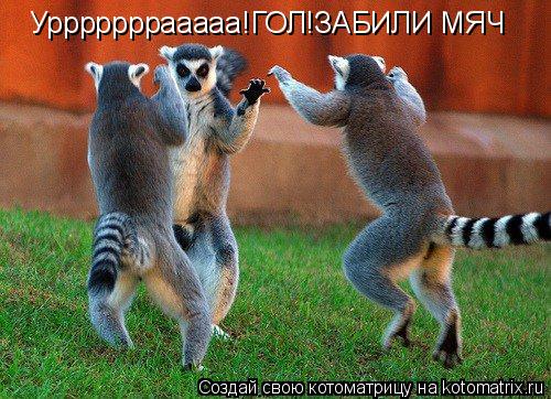 Урррррррааааа!ГОЛ!ЗАБИЛИ МЯЧ... Котоматрица: Урррррррааааа!ГОЛ!ЗАБИЛИ МЯЧ