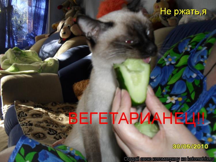 Не ржать,я ВЕГЕТАРИАНЕЦ!!... Котоматрица: Не ржать,я ВЕГЕТАРИАНЕЦ!!