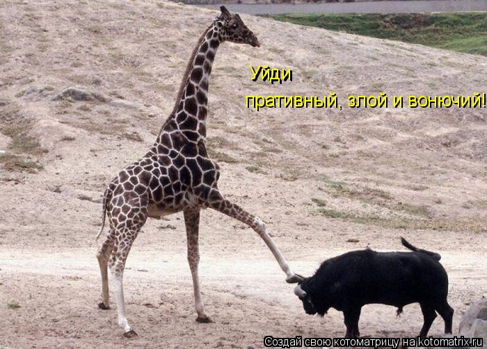Уйди Уйди пративный, злой и вонючий!... Котоматрица: Уйди Уйди пративный, злой и вонючий!