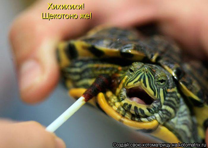 Хихихихи! Щекотоно же!... Котоматрица: Хихихихи! Щекотоно же!