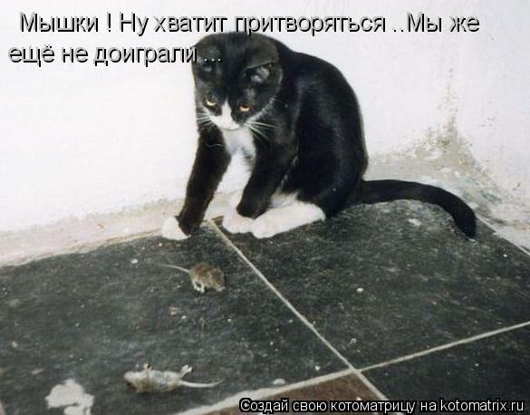 Мышки ! Ну хватит притворяться ..Мы же ещё не доиграли ...... Котоматрица: Мышки ! Ну хватит притворяться ..Мы же ещё не доиграли ...