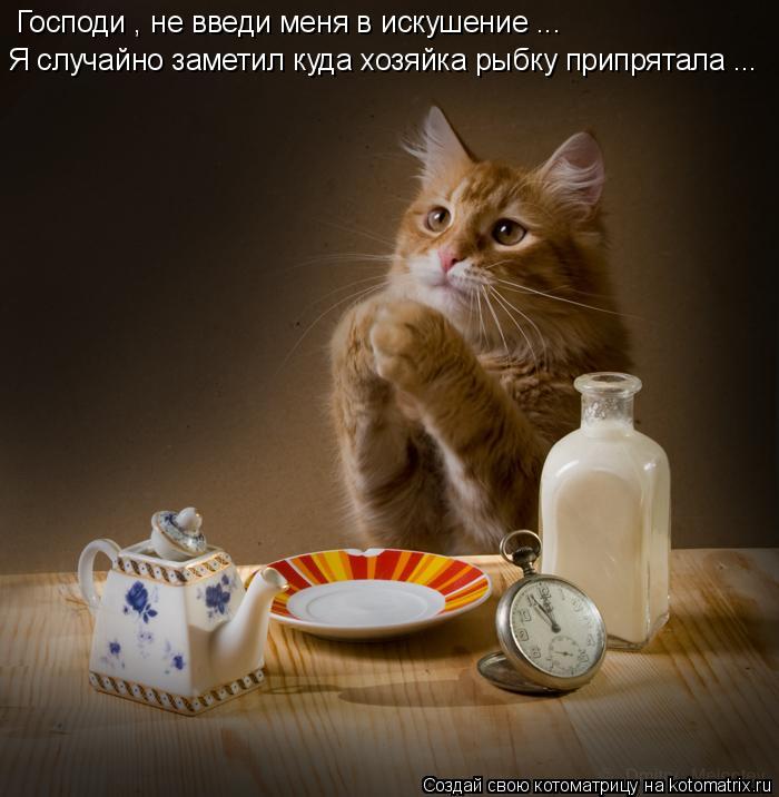 Господи , не введи меня в искушение ... Я случайно заметил куда хозяйка рыбку припрятала ...... Котоматрица: Господи , не введи меня в искушение ... Я случайно заметил куда хозяйка рыбку припрятала ...