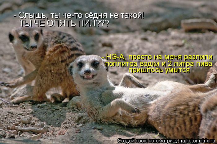 - Слышь, ты че-то сёдня не такой! ТЫ ЧЕ ОПЯТЬ ПИЛ??? поллитра водки и 2 литра пива - НЭ-А, просто на ... Котоматрица: - Слышь, ты че-то сёдня не такой! ТЫ ЧЕ ОПЯТЬ ПИЛ??? поллитра водки и 2 литра пива - НЭ-А, просто на меня разлили пришлось умытся