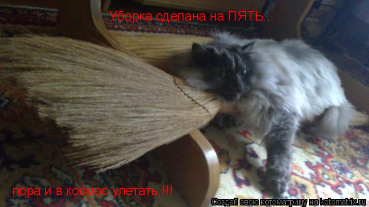 Уборка сделана на ПЯТЬ... пора и в космос улетать.!!!... Котоматрица: Уборка сделана на ПЯТЬ... пора и в космос улетать.!!!