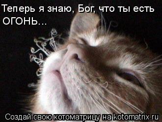 Теперь я знаю, Бог, что ты есть ОГОНЬ...... Котоматрица: Теперь я знаю, Бог, что ты есть ОГОНЬ...