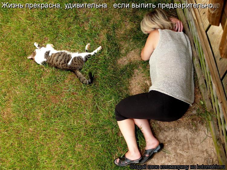 Жизнь прекрасна, удивительна — если выпить предварительно...... Котоматрица: Жизнь прекрасна, удивительна — если выпить предварительно...