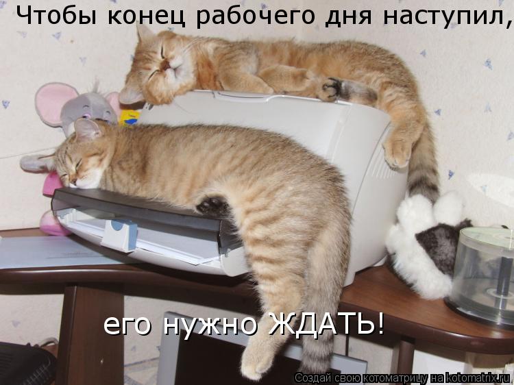 Чтобы конец рабочего дня наступил, его нужно ЖДАТЬ!... Котоматрица: Чтобы конец рабочего дня наступил, его нужно ЖДАТЬ!