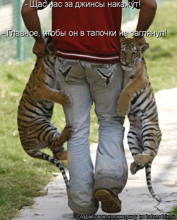 - Щас нас за джинсы накажут! - Главное, чтобы он в тапочки не заглянул!... Котоматрица: - Щас нас за джинсы накажут! - Главное, чтобы он в тапочки не заглянул!