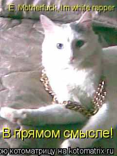 В прямом смысле! E, Motherfuck, Im white rapper... Котоматрица: В прямом смысле! E, Motherfuck, Im white rapper