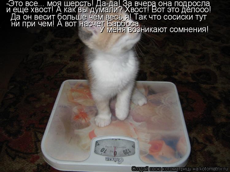 -Это все... моя шерсть! Да-да! За вчера она подросла и еще хвост! А как вы думали? Хвост! Вот это дел... Котоматрица: -Это все... моя шерсть! Да-да! За вчера она подросла и еще хвост! А как вы думали? Хвост! Вот это делооо! Да он весит больше чем весь я! Так что сос