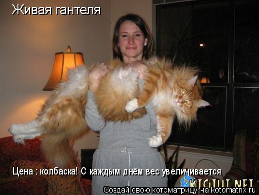 Живая гантеля Цена : колбаска! С каждым днём вес увеличивается... Котоматрица: Живая гантеля Цена : колбаска! С каждым днём вес увеличивается