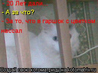 - 20 Лет дали... - А за что? - А за что? - За то, что в гаршок с цветком нассал... Котоматрица: - 20 Лет дали... - А за что? - А за что? - За то, что в гаршок с цветком нассал