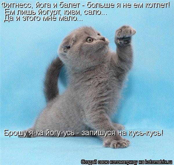 Фитнесс, йога и балет - больше я не ем котлет! Ем лишь йогурт, киви, сало... Да и этого мне мало... Б... Котоматрица: Фитнесс, йога и балет - больше я не ем котлет! Ем лишь йогурт, киви, сало... Да и этого мне мало... Брошу я-ка йогу-усь - запишуся на кусь-кусь!
