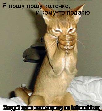 Я ношу-ношу колечко, и кому-то подарю... Котоматрица: Я ношу-ношу колечко, и кому-то подарю