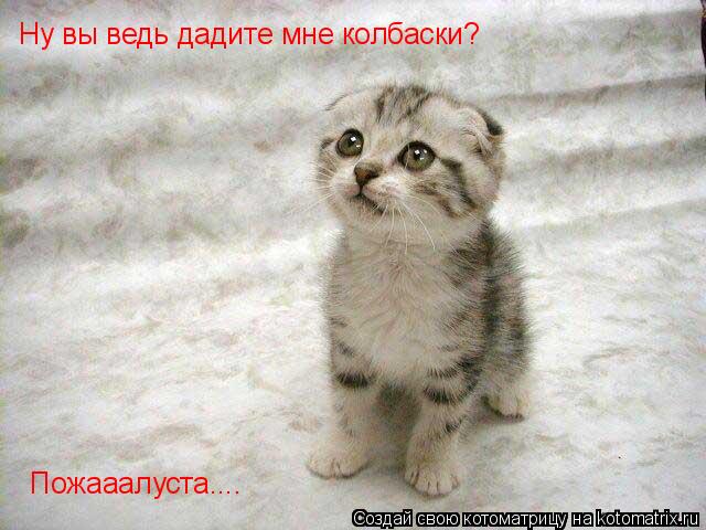 Ну вы ведь дадите мне колбаски? Пожааалуста....... Котоматрица: Ну вы ведь дадите мне колбаски? Пожааалуста....