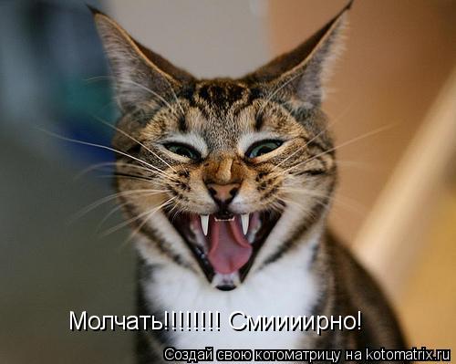 Молчать!!!!!!!! Смиииирно!... Котоматрица: Молчать!!!!!!!! Смиииирно!