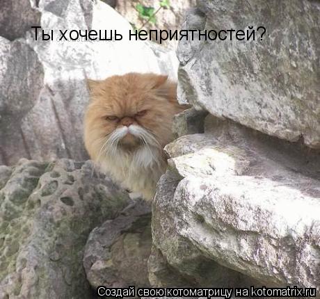 Ты хочешь неприятностей?... Котоматрица: Ты хочешь неприятностей?