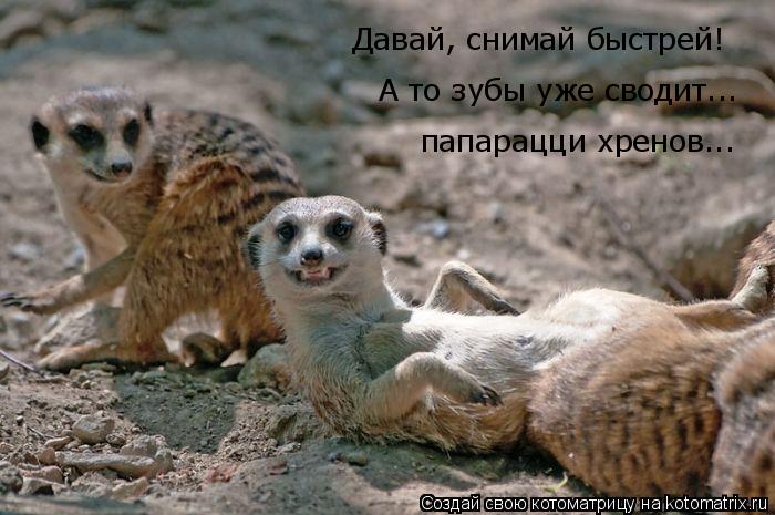 А то зубы уже сводит... Давай, снимай быстрей! папарацци хренов...... Котоматрица: А то зубы уже сводит... Давай, снимай быстрей! папарацци хренов...