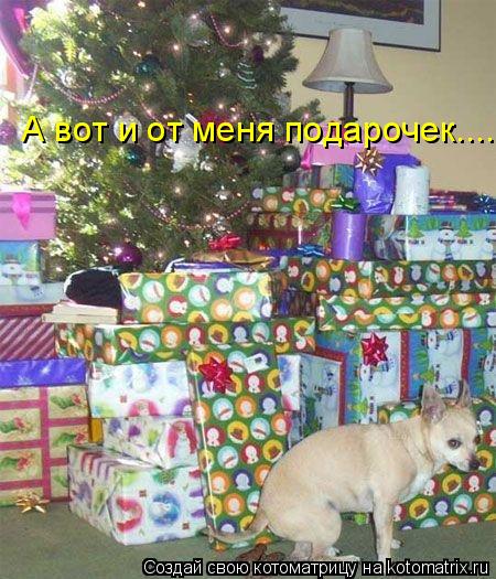 А вот и от меня подарочек....... Котоматрица: А вот и от меня подарочек....