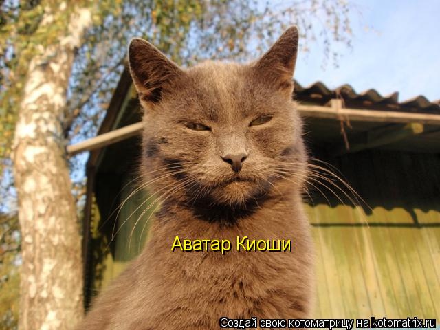 Аватар Киоши... Котоматрица: Аватар Киоши