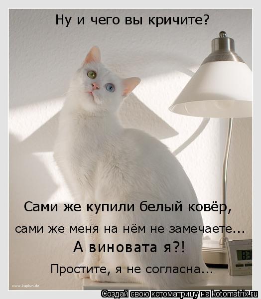Ну и чего вы кричите? Сами же купили белый ковёр, сами же меня на нём не замечаете... Простите, я не ... Котоматрица: Ну и чего вы кричите? Сами же купили белый ковёр, сами же меня на нём не замечаете... Простите, я не согласна... А виновата я?!