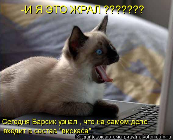 -И Я ЭТО ЖРАЛ ??????? входит в состав "вискаса" Сегодня Барсик узнал , что на самом деле... Котоматрица: -И Я ЭТО ЖРАЛ ??????? входит в состав "вискаса" Сегодня Барсик узнал , что на самом деле