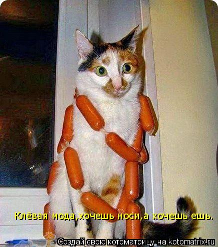 Клёвая мода,хочешь носи,а хочешь ешь.... Котоматрица: Клёвая мода,хочешь носи,а хочешь ешь.