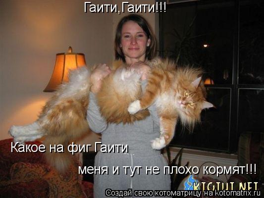 Гаити,Гаити!!! Какое на фиг Гаити меня и тут не плохо кормят!!!... Котоматрица: Гаити,Гаити!!! Какое на фиг Гаити меня и тут не плохо кормят!!!