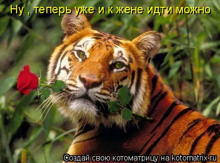 Ну , теперь уже и к жене идти можно... Котоматрица: Ну , теперь уже и к жене идти можно